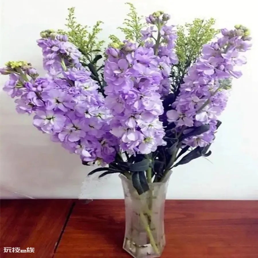 象征友谊的花有哪些(代表友谊适合送朋友的花束有哪些)-图片4