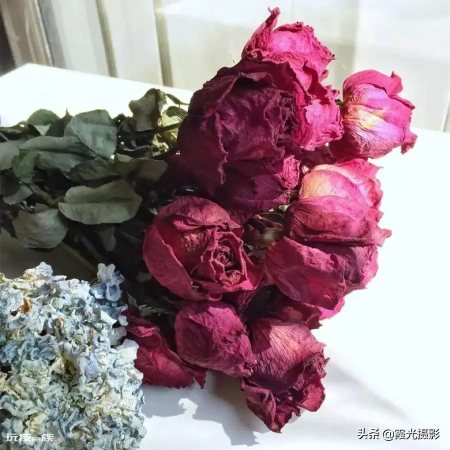 怎么做干花可以保持颜色(做干花保持花的原色技巧)-图片4