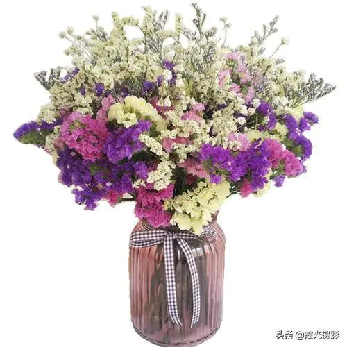 怎么做干花可以保持颜色(做干花保持花的原色技巧)-图片5