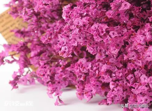 怎么做干花可以保持颜色(做干花保持花的原色技巧)-图片6