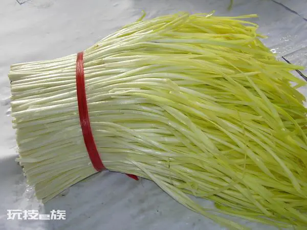 蒜苔和蒜苗是同一种吗(教你几招快速分辨蒜苗与蒜薹)-图片5
