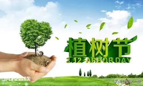 榆树风水禁忌及讲究说法(东不栽榆西不栽桃是什么意思)-图片1