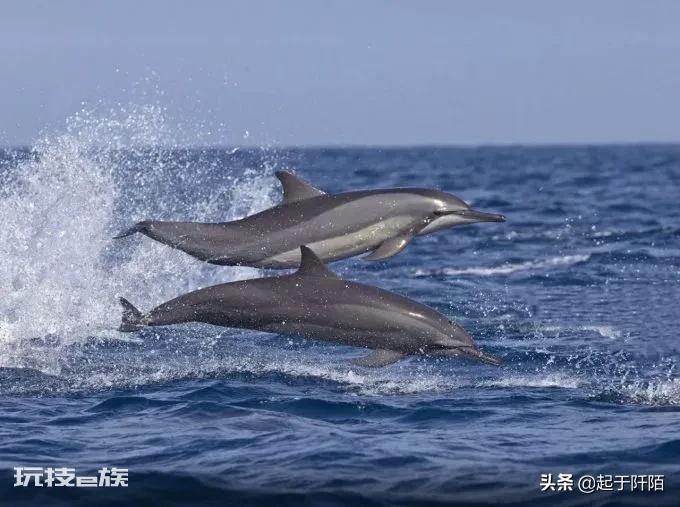 斯里兰卡是不是很穷（印度洋岛国斯里兰卡经济富裕程度）-图片19