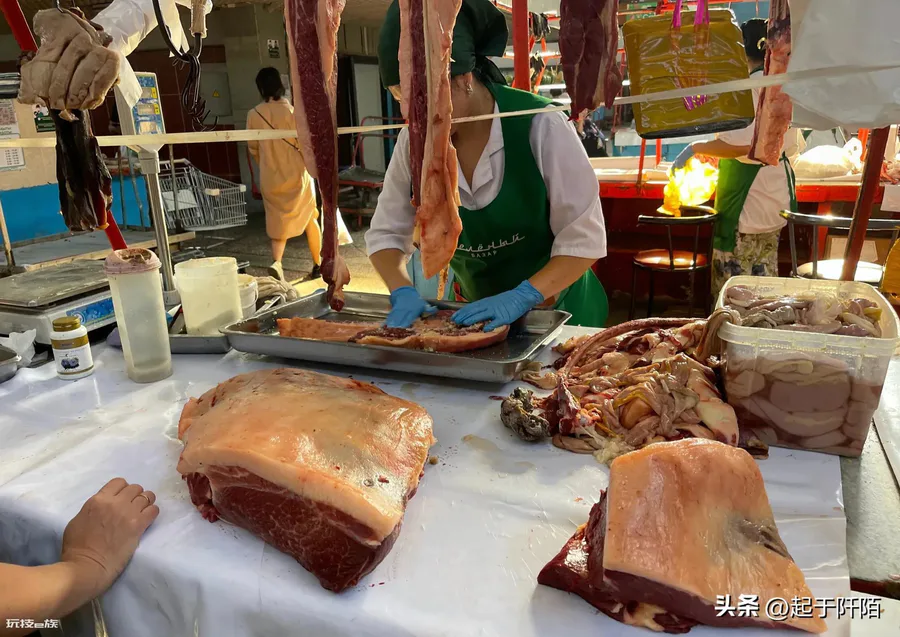 哈萨克斯坦人口面积简介(哈萨克斯坦是一个怎样的国家)-图片8