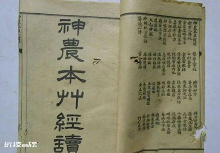 什么叫太岁(太岁不是动物不是植物到底是什么东西)-图片2