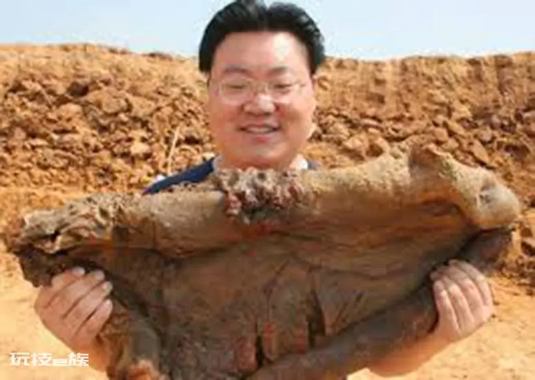 什么叫太岁(太岁不是动物不是植物到底是什么东西)-图片3