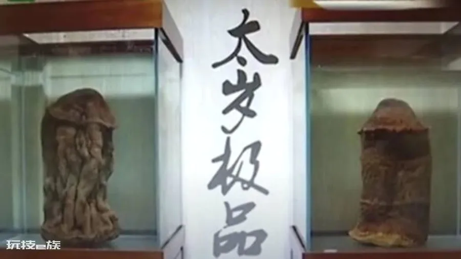 什么叫太岁(太岁不是动物不是植物到底是什么东西)-图片8