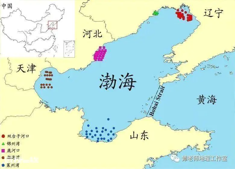 我国面积最大的海域是哪里(中国四大海域面积介绍)-图片2
