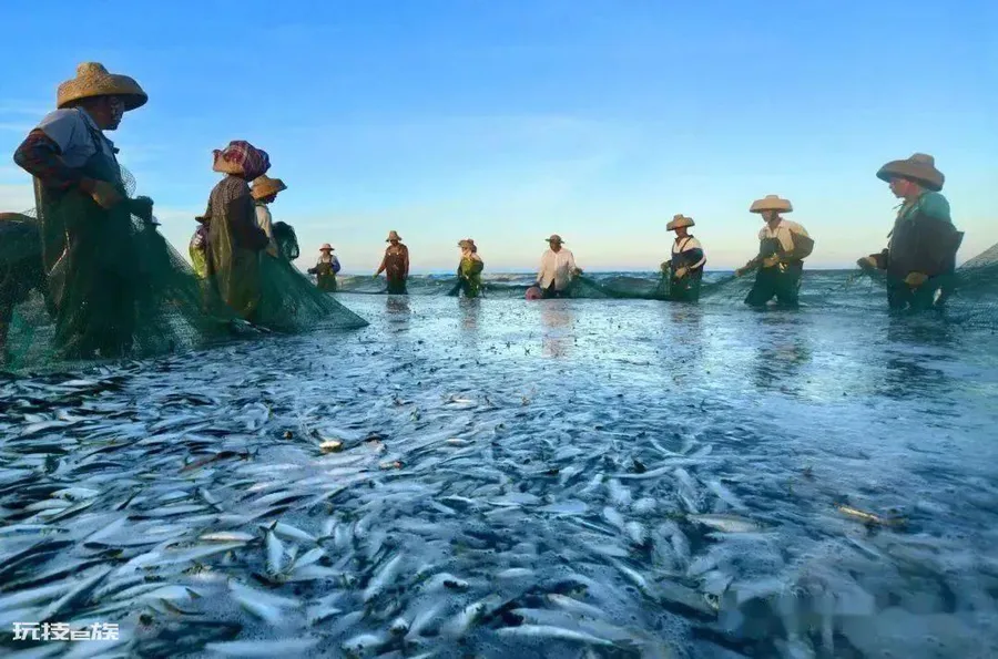 我国面积最大的海域是哪里(中国四大海域面积介绍)-图片6