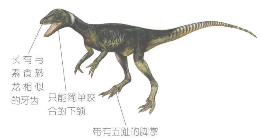 霸王龙的资料简单介绍(霸王龙重达8吨体长11米手臂1米)-图片5