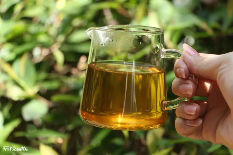 普洱茶时间越长越好吗(普洱茶年份越久冲泡越好喝吗)-图片1