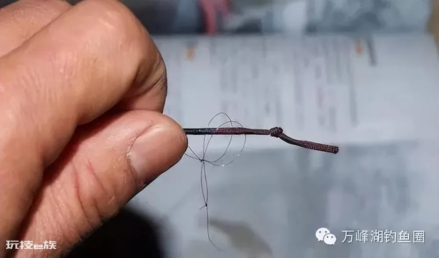 鱼线与鱼竿正确绑法(新手鱼线绑在竿稍上图解)-图片4