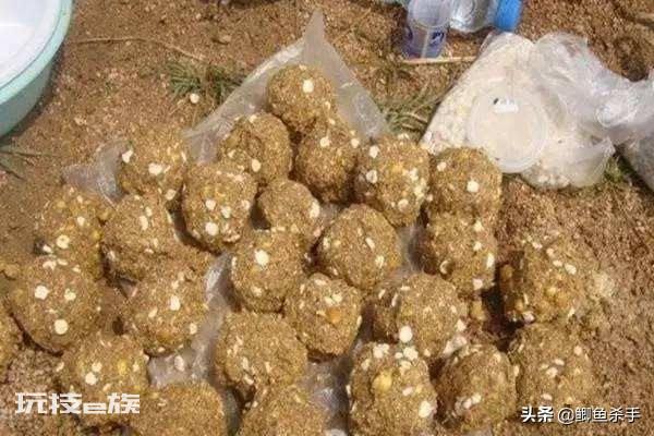 鲫鱼喜欢吃什么饵料(现在季节钓鲫鱼三样饵料最佳)-图片6