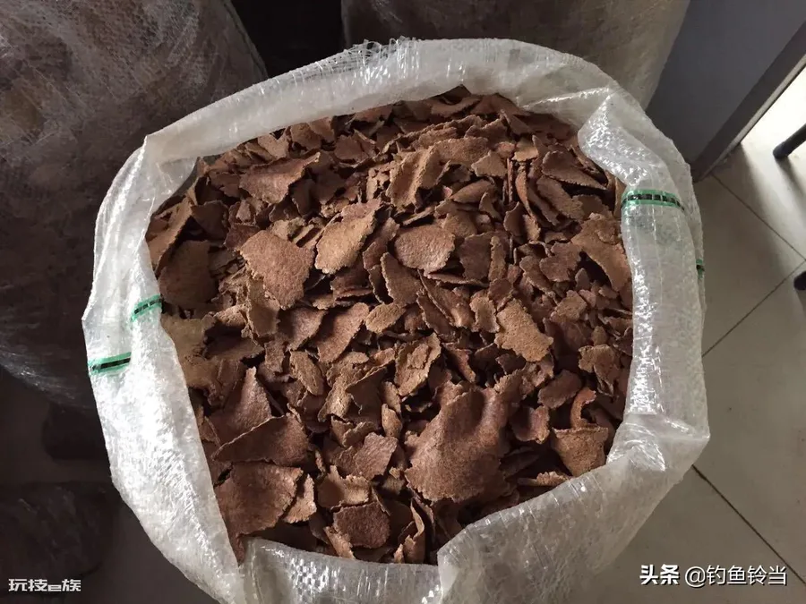 土鲮鱼最喜欢吃什么饵料(野钓土鲮鱼的正确技巧)-图片6