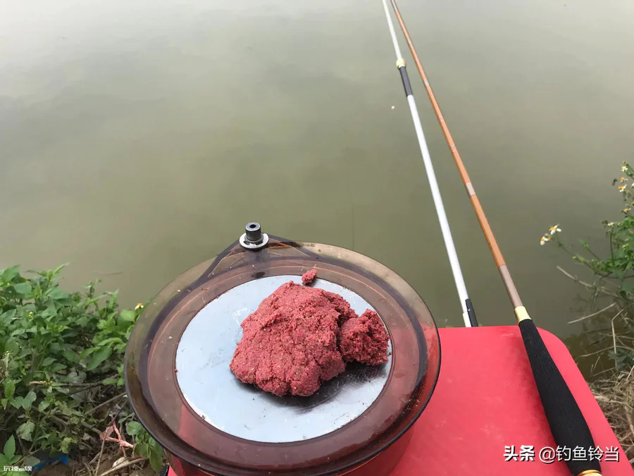 土鲮鱼最喜欢吃什么饵料(野钓土鲮鱼的正确技巧)-图片7