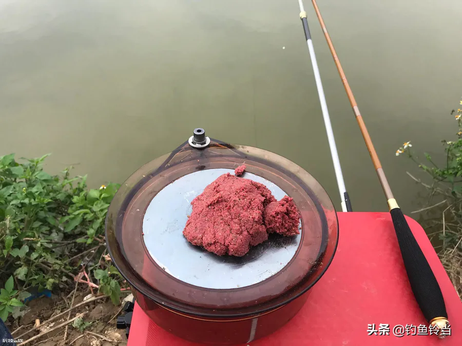 土鲮鱼最喜欢吃什么饵料(野钓土鲮鱼的正确技巧)-图片8