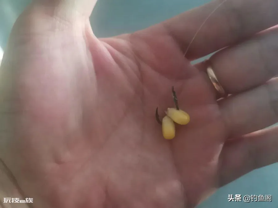 玉米挂钩的正确挂法图片(玉米挂钩的4种简单方法)-图片3