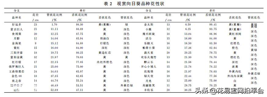向日葵是哪个国家的国花(乌克兰国花向日葵的寓意象征)-图片8