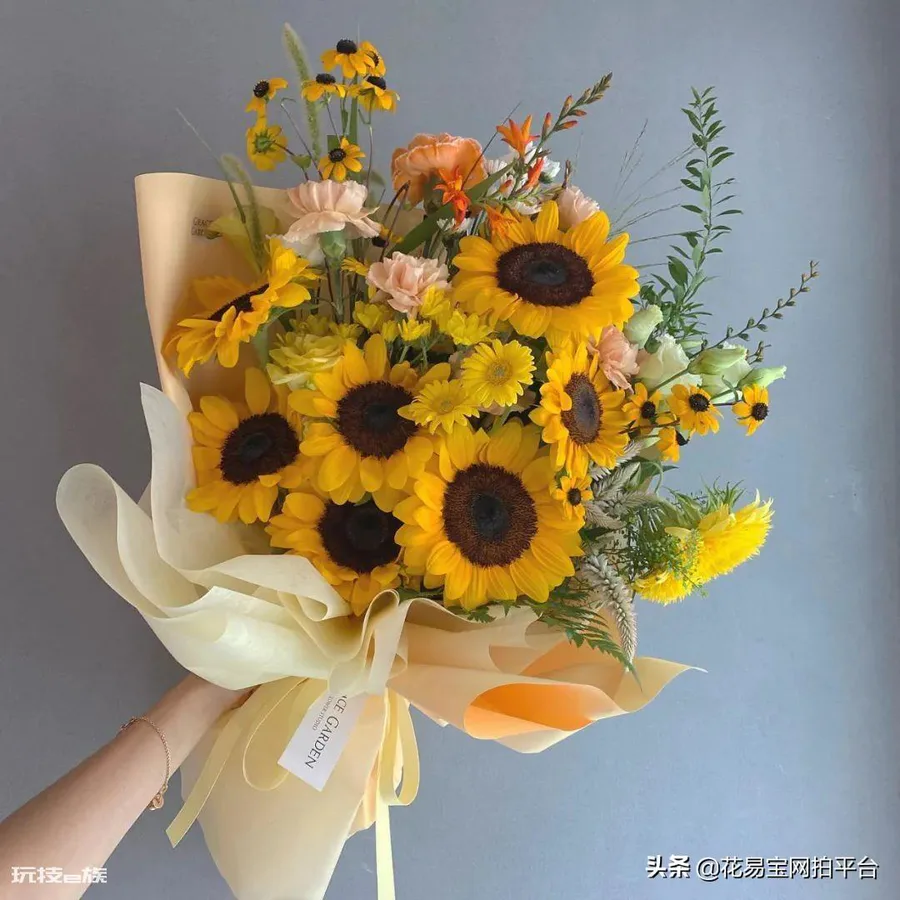 向日葵是哪个国家的国花(乌克兰国花向日葵的寓意象征)-图片12