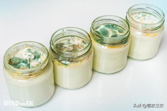 过期的牛奶可以浇花吗（过期牛奶巧妙用来养花种蔬菜）-图片2