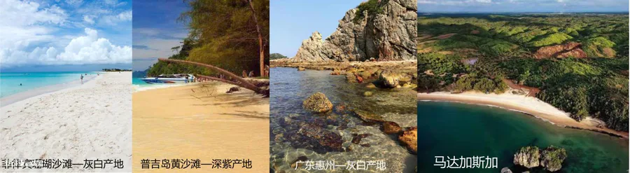 寄居蟹寿命一般活多久(海边的寄居蟹生长习性及特点介绍)-图片2