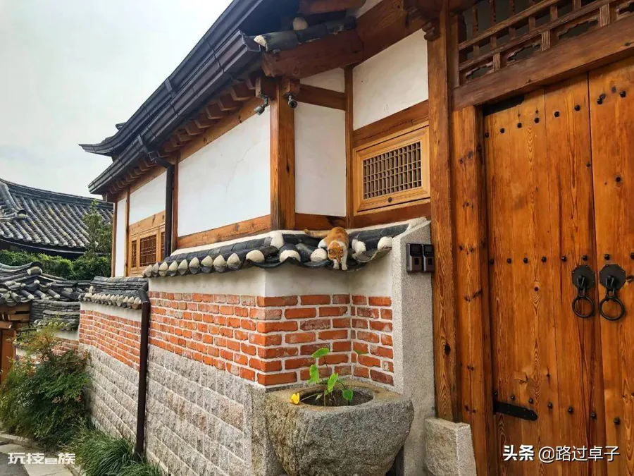韩国旅游三天的攻略(到韩国三日游旅游线路行程安排推荐)-图片13