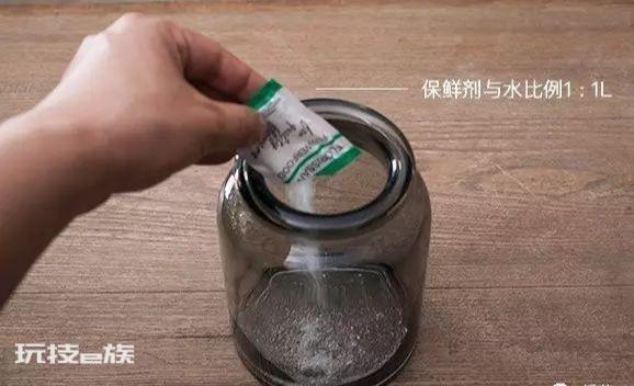 玫瑰花保存长久的方法(花店买的玫瑰保鲜时间长的4个技巧)-图片5