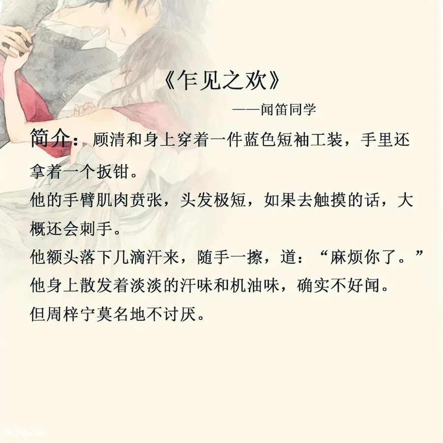 经典好看的糙汉文小说(土建五本糙汉男主甜文完结)-图片4
