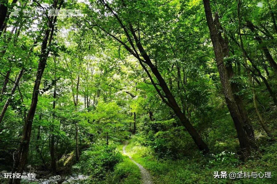 西安夏天适合去哪里玩(西安夏季值得一去游玩的景区推荐)-图片3