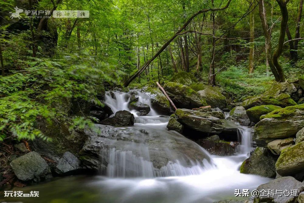 西安夏天适合去哪里玩(西安夏季值得一去游玩的景区推荐)-图片4