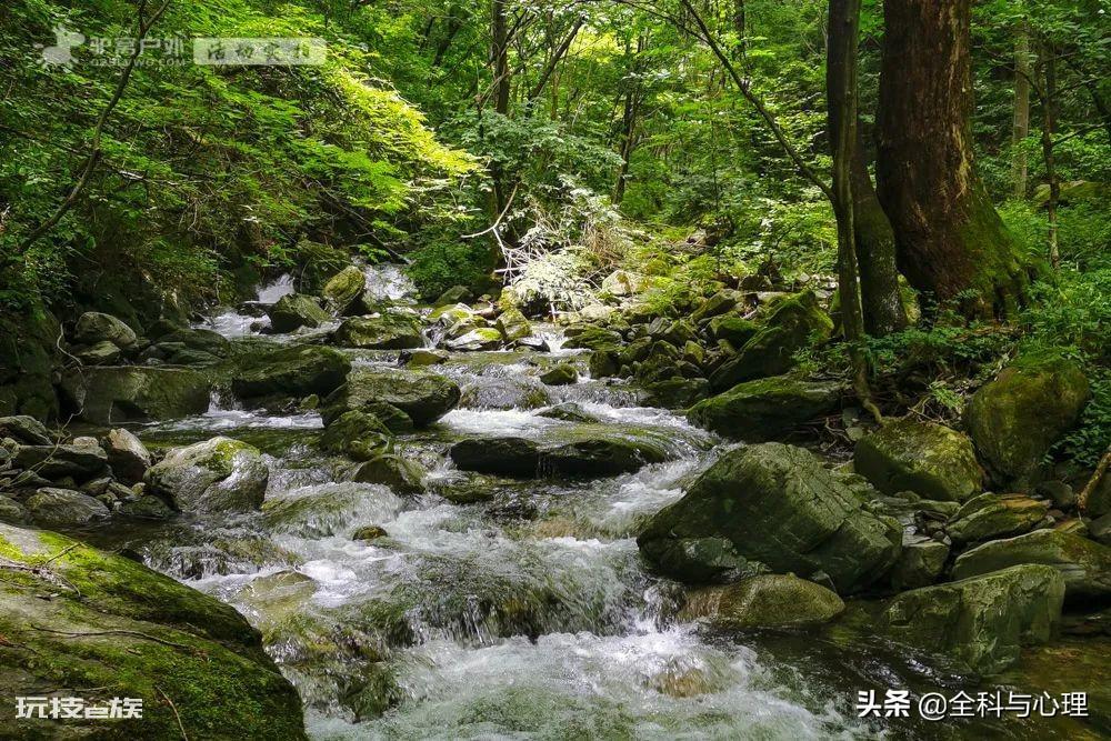 西安夏天适合去哪里玩(西安夏季值得一去游玩的景区推荐)-图片5
