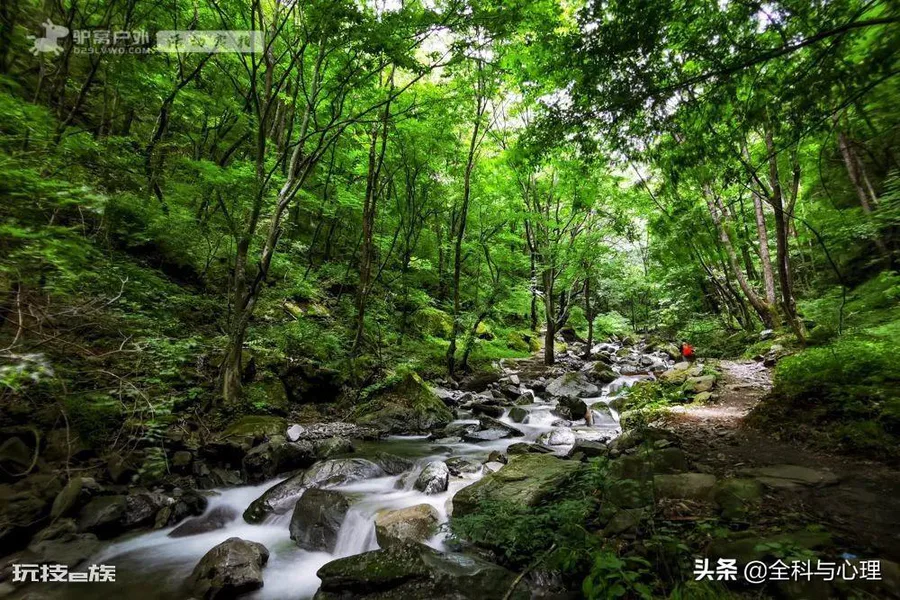 西安夏天适合去哪里玩(西安夏季值得一去游玩的景区推荐)-图片7