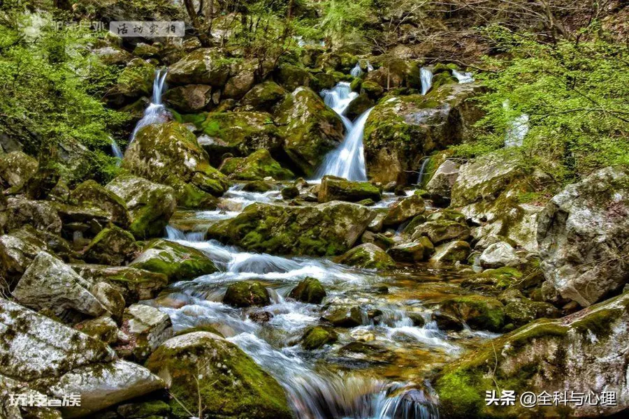 西安夏天适合去哪里玩(西安夏季值得一去游玩的景区推荐)-图片11