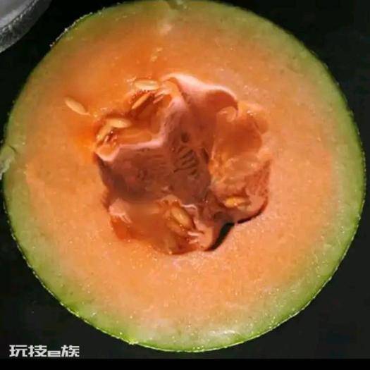 羊角蜜几月份种植最好(羊角蜜栽种时间与管理方法)-图片8