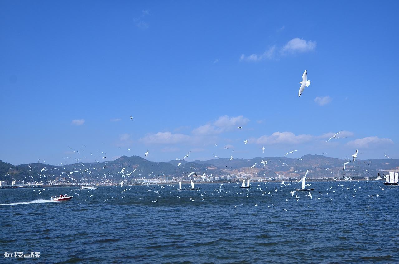 昆明市一日游旅游攻略(云南昆明旅游必去打卡景点推荐)-图片6