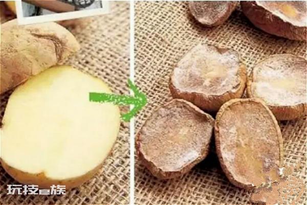 耐阴的蔬菜有哪些(可以在家里种的5种耐阴蔬菜品种)-图片8