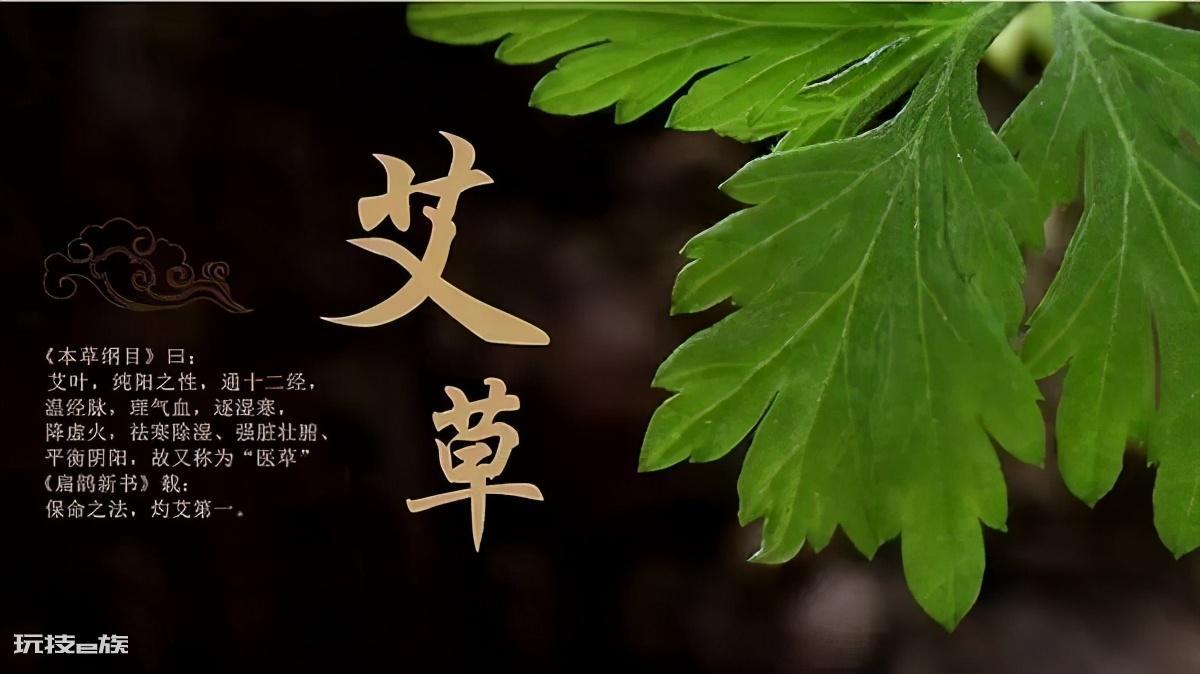 艾蒿和艾草的区别图片(3招教你快速分辨艾蒿和艾草)-图片5