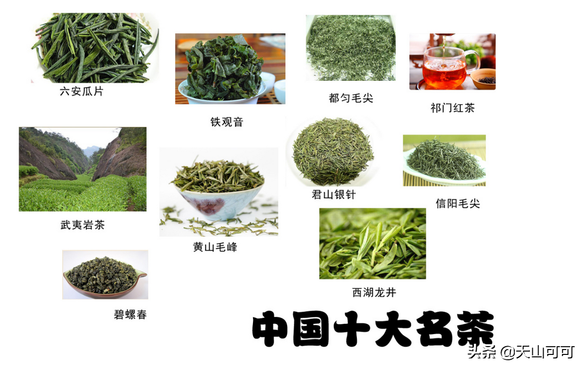 安徽喜欢喝什么茶(安徽的什么茶比较著名又好喝)-图片2