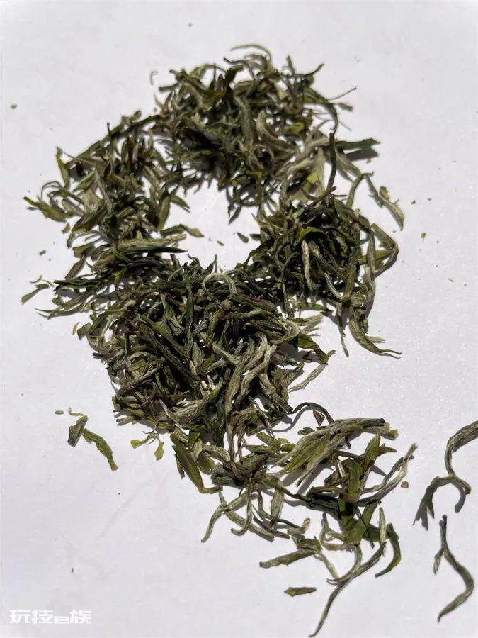 绿茶有哪些品种名称(国内知名的5种绿茶种类及图片)-图片15