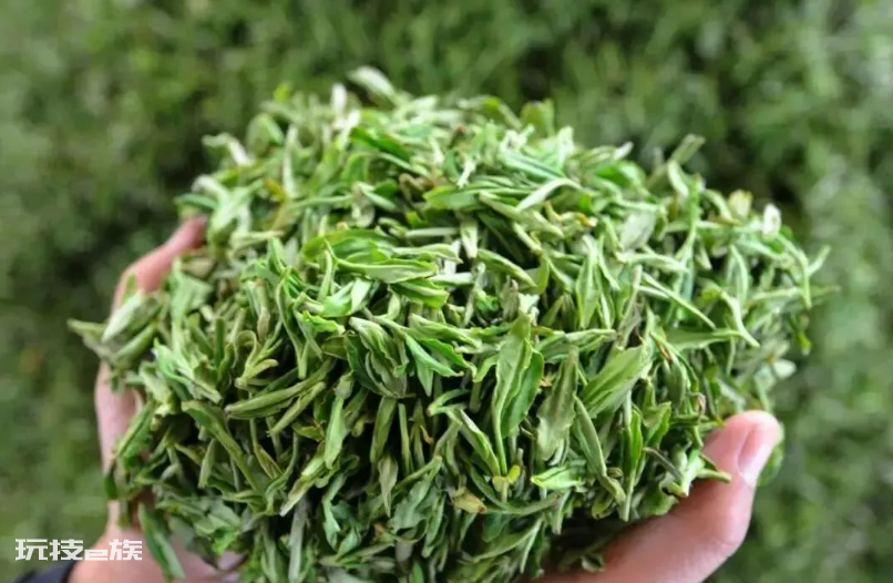 绿茶有哪些品种名称(国内知名的5种绿茶种类及图片)-图片17