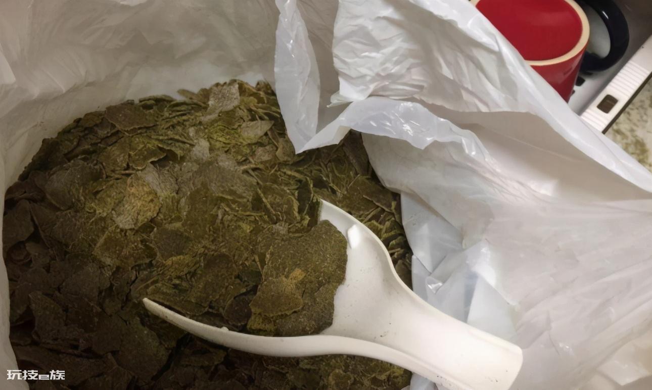 香油渣子怎么给花施肥(用油渣制作肥料正确方法)-图片2