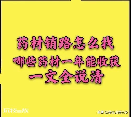 亩效益过万的一年生药材(农村种植什么药材项目更赚钱)-图片1