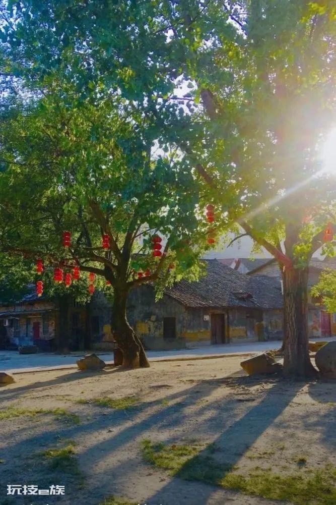 张谷英村值得一去吗（岳阳张谷英村旅游攻略）-图片22