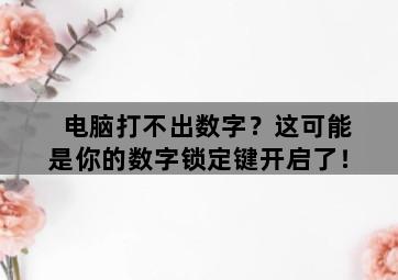 电脑打不出数字?这可能是你的数字锁定键开启了! 电脑打不出数字?这可能是你的数字锁定键开启了!-图片2