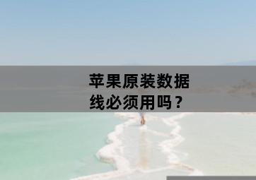 苹果原装数据线必须用吗？-图片2