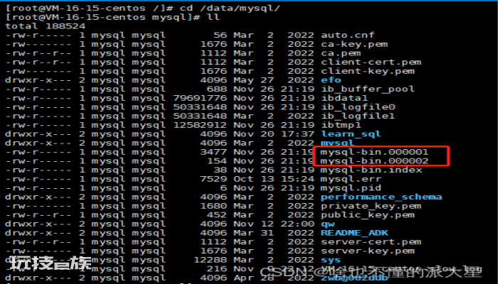mysql开启bin log 并查看bin log日志(linux) mysql开启bin log 并查看bin log日志(linux)-图片3