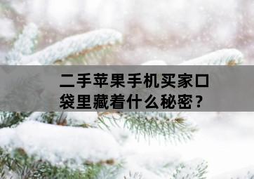 二手苹果手机买家口袋里藏着什么秘密？-图片2
