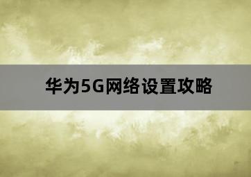 华为5G网络设置攻略 华为5G网络设置攻略-图片1