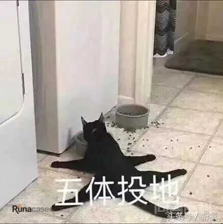 这些国货化妆品靠抄袭一年挣50个亿,也太丧心病狂了吧!-图片18