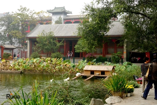 兰京小说王府-图片5